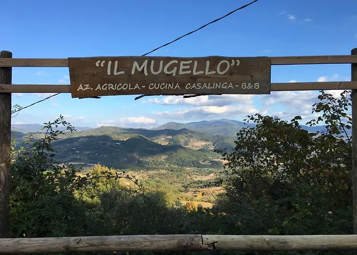 Il Mugello B&B