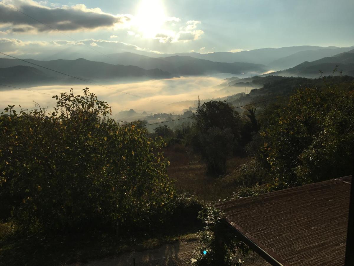 Il Mugello * Vicchio