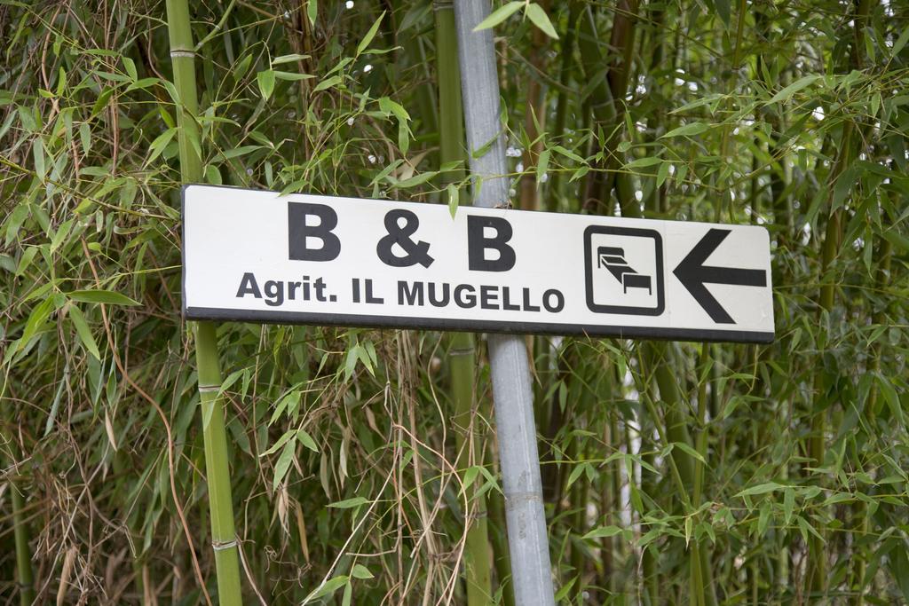 Alojamento de Acomodação e Pequeno-almoço Il Mugello